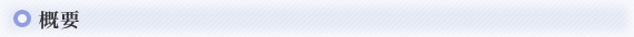 概要